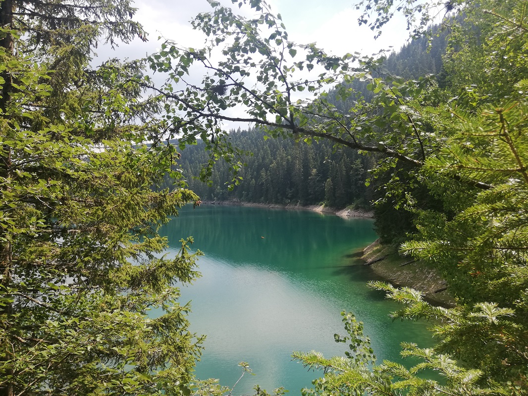Prva pauza